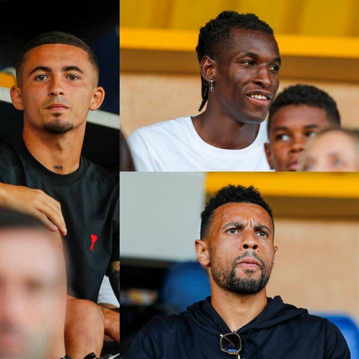 在今年金秋 在今年金秋